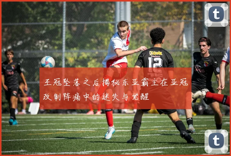 王冠坠落之后揭秘东亚霸主在亚冠改制阵痛中的迷失与觉醒